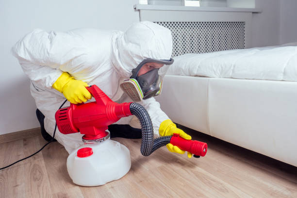 Best Residential Pest Control  in Holdenville, OK